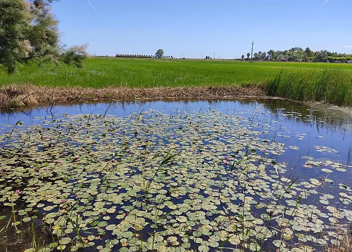 Lo Mas De Suriaca Nyaraló El Poble Nou del Delta