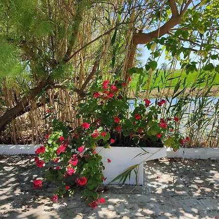 Lo Mas De Suriaca Holiday home