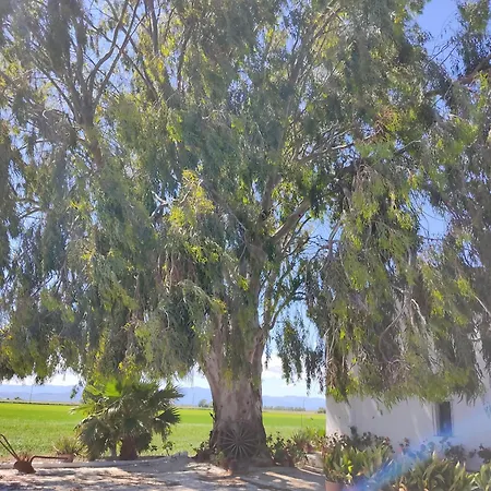 Lo Mas De Suriaca Hébergement de vacances *
