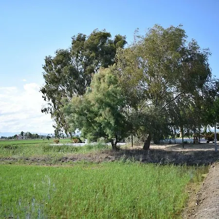 Lo Mas De Suriaca * El Poble Nou del Delta
