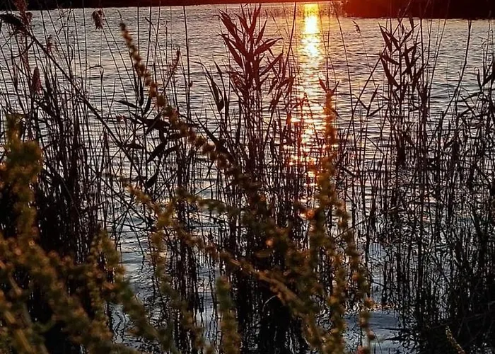 Lo Mas De Suriaca Semesterbostad El Poble Nou del Delta